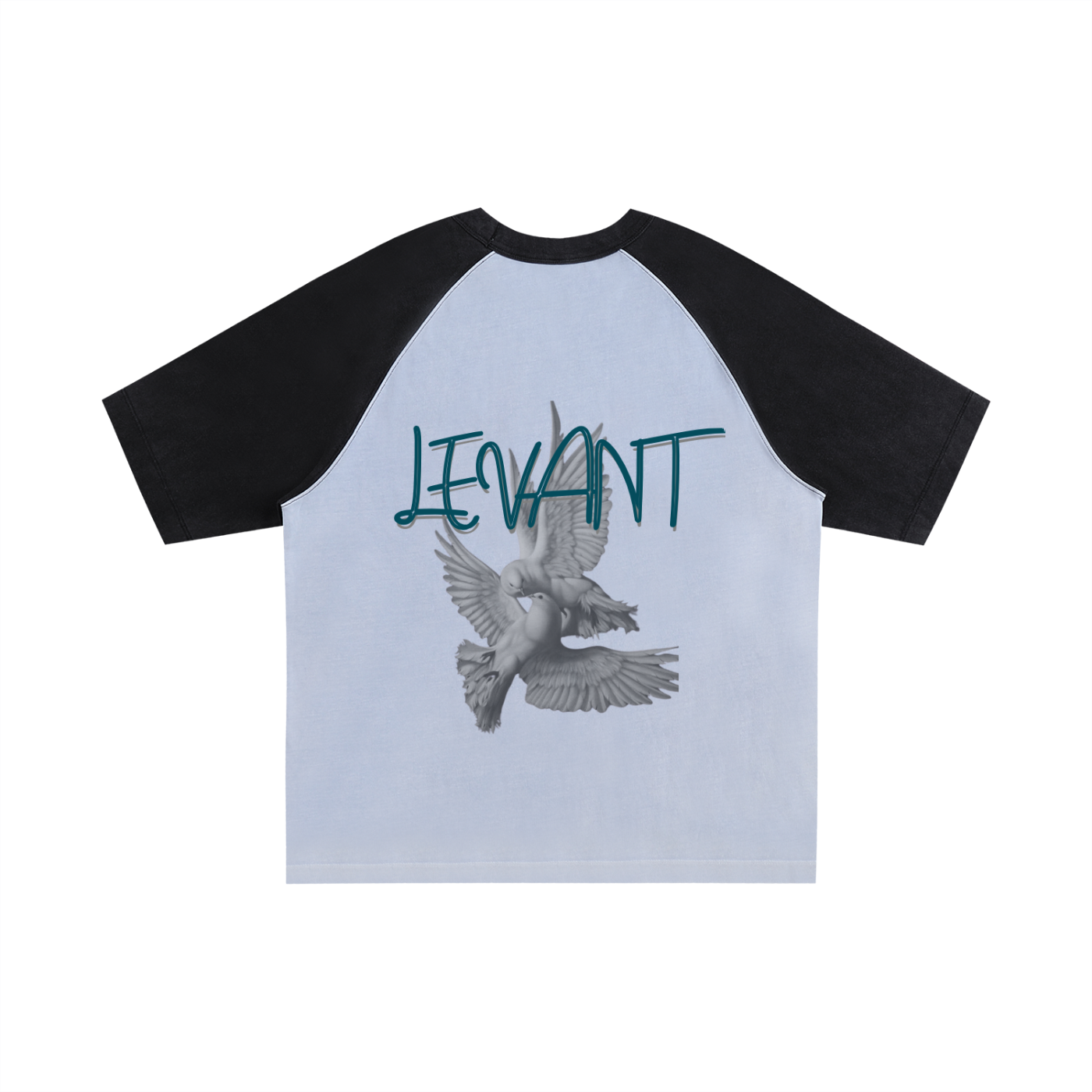 Lumière Du Levant Color-Blocked Raglan Sleeve T-Shirt