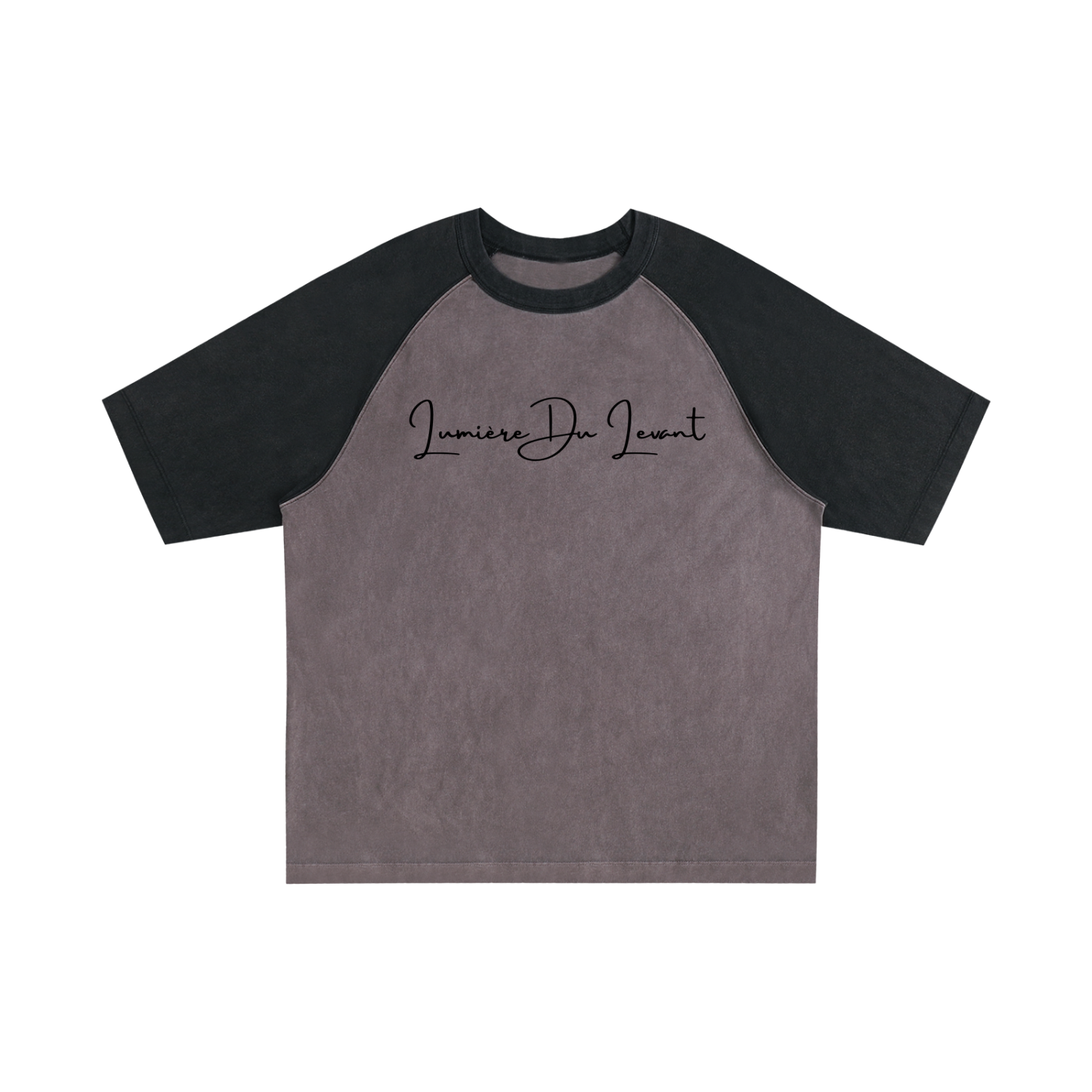 Lumière Du Levant Color-Blocked Raglan Sleeve T-Shirt