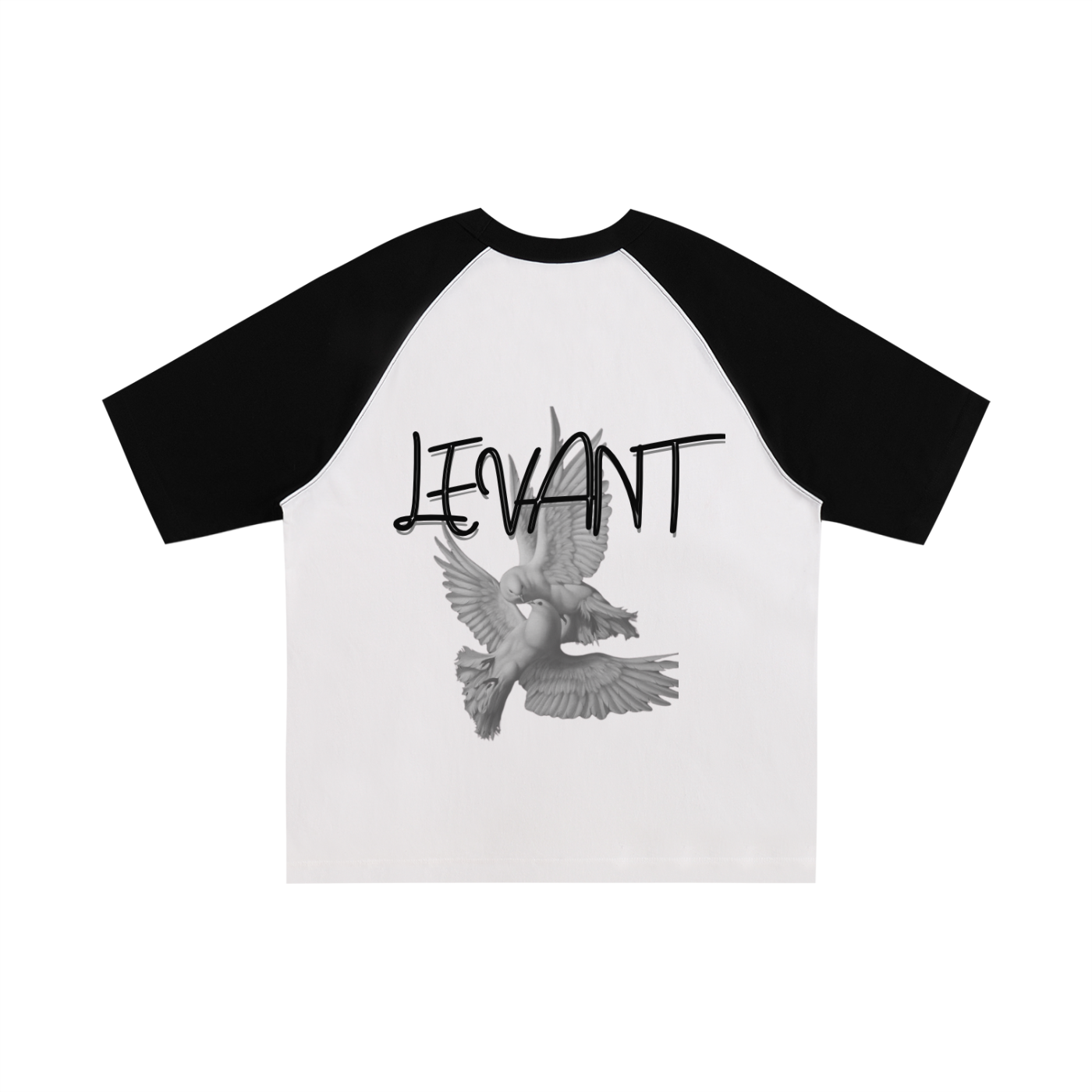 Lumière Du Levant Color-Blocked Raglan Sleeve T-Shirt