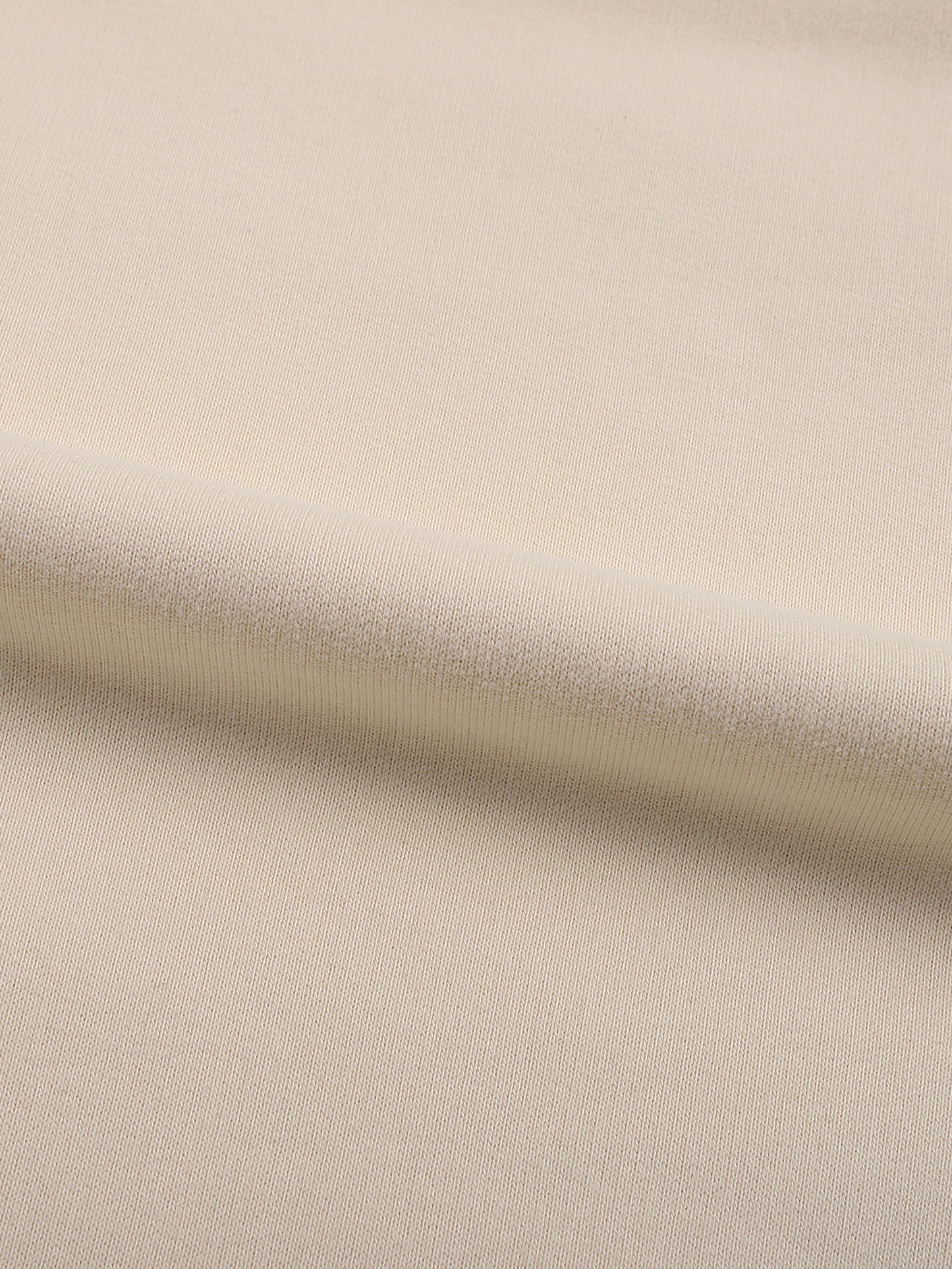 Lumière Du Levant Fleeced High Neck Hoodie