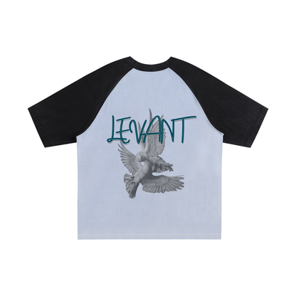 Lumière Du Levant Color-Blocked Raglan Sleeve T-Shirt