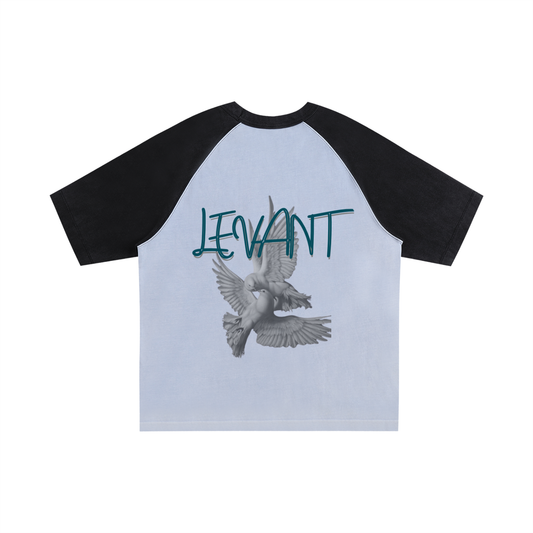Lumière Du Levant Color-Blocked Raglan Sleeve T-Shirt