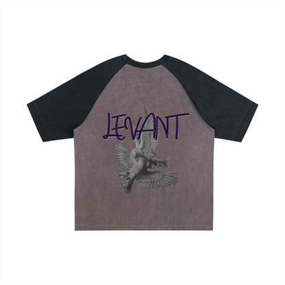 Lumière Du Levant Color-Blocked Raglan Sleeve T-Shirt