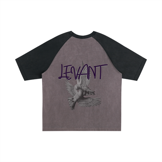 Lumière Du Levant Color-Blocked Raglan Sleeve T-Shirt