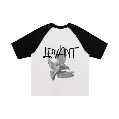 Lumière Du Levant Color-Blocked Raglan Sleeve T-Shirt
