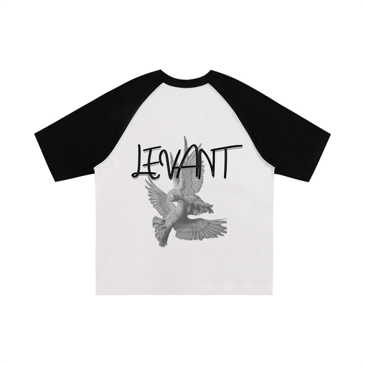 Lumière Du Levant Color-Blocked Raglan Sleeve T-Shirt