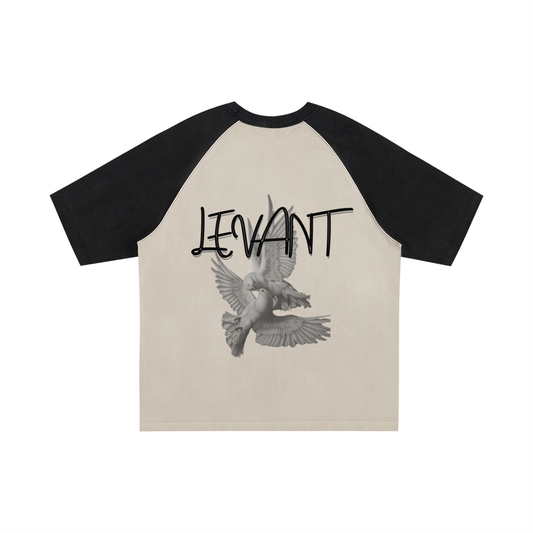 Lumière Du Levant Color-Blocked Raglan Sleeve T-Shirt